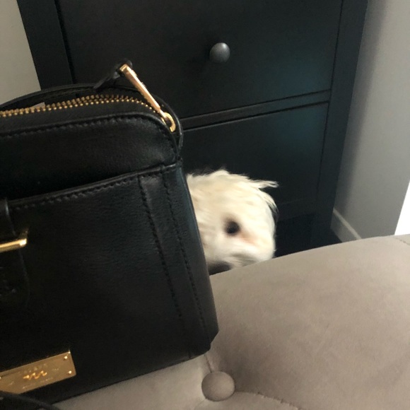 Ralph Lauren crossbody - Picture 6 of 7